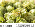 Dried hop cones are placed on a wooden table, conveying the aroma and bitterness of hops used as an ingredient in beer brewing. 138939918