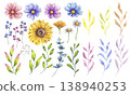 Watercolor flower, leaves and berries set. Sunflower, blooming cosmos, white daisy chamomile, eucalyptus, Ilex. Botanical clip art. Hand drawn illustration isolated background. Wedding invitation 138940253