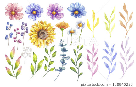 Watercolor flower, leaves and berries set. Sunflower, blooming cosmos, white daisy chamomile, eucalyptus, Ilex. Botanical clip art. Hand drawn illustration isolated background. Wedding invitation 138940253