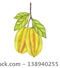 Watercolor Starfruit hanging from branch, green leaves foliage. Whole yellow tropical Averrhoa carambola or Bilimbi fruit. Botanical exotic star apple. Hand drawn illustration isolated background. 138940255