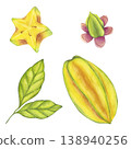 Starfruit watercolor set whole and slice yellow tropical fruit, leaves, flowers. Averrhoa carambola or Bilimbi. Botanical exotic star apple. Hand drawn illustration isolated on white background. 138940256
