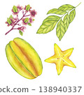 Starfruit watercolor set whole and slice yellow tropical fruit, leaves, flowers. Averrhoa carambola or Bilimbi. Botanical exotic star apple. Hand drawn illustration isolated on white background. 138940337