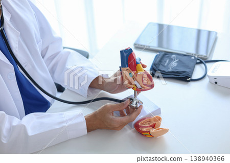 A life-size human heart anatomical model used for educational purpose. 138940366