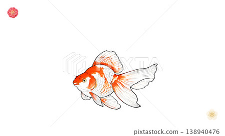 紅白相間的金魚在白色背景的襯托下格外醒目，並配上日式風格的梅花圖案。 138940476
