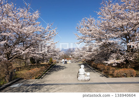 群馬縣澀川市春天的豐水寺 群馬縣澀川市春天的豐水寺 138940604