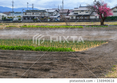 Fields shrouded in mist [Azumino] 138940618