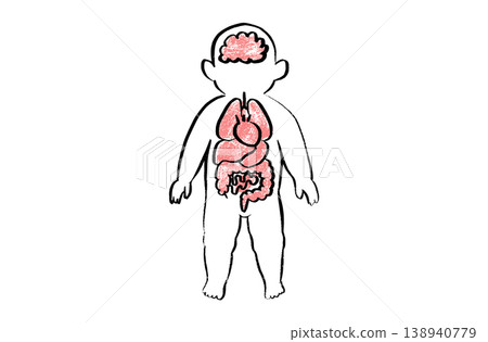 Organ Systems Sketch Organ Systems Sketch 138940779