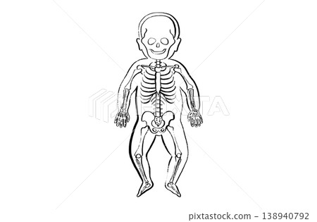 Organ Systems Sketch Organ Systems Sketch 138940792