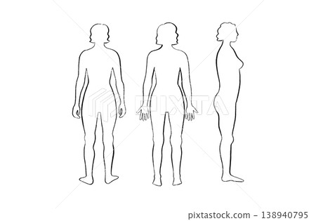 Organ Systems Sketch 138940795