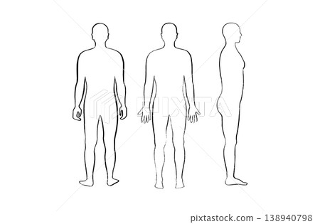 Organ Systems Sketch 138940798