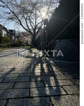 Cycling through the city streets in spring, with cherry blossoms in bloom. 138940804