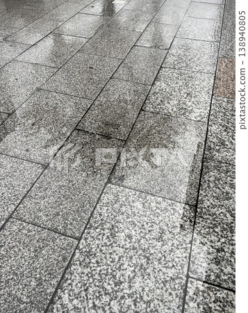 The silhouette of a young zelkova tree reflected in a puddle on a rain-soaked city sidewalk. The silhouette of a young zelkova tree reflected in a puddle on a rain-soaked city sidewalk. 138940805