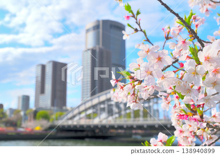 Cherry blossoms, buildings, and bridges Cherry blossoms, buildings, and bridges 138940899
