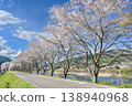 A photograph of a beautiful cherry blossom-lined street against a clear blue sky [Gujō City, Gifu Prefecture] 138940968