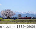 A single cherry tree and the Johana Line 138940989