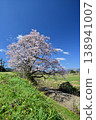 Cherry blossoms in Mukano 138941007
