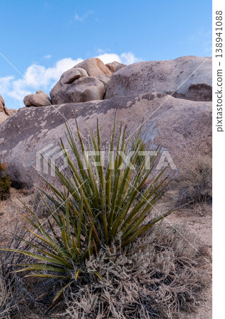 Joshua Tree National park landscape Joshua Tree National park landscape 138941088