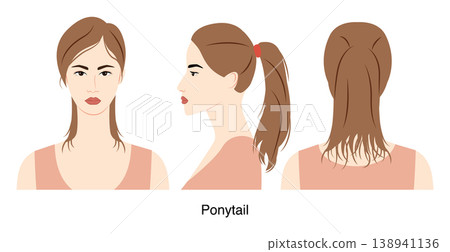 Ponytail hairstyle vector front back profile views, tied hair shape long tail composition for beauty salon, hairdresser Ponytail hairstyle vector front back profile views, tied hair shape long tail composition for beauty salon, hairdresser 138941136