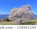 櫻花與北阿爾卑斯山，蘇沼的一棵櫻花 138941240