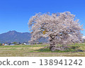 櫻花與北阿爾卑斯山，蘇沼的一棵櫻花 138941242
