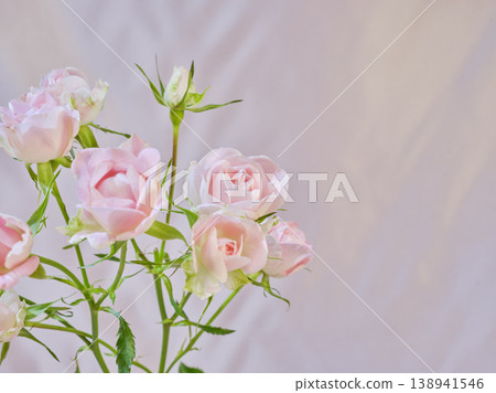 Beautiful fresh roses 138941546