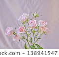 Beautiful fresh roses 138941547