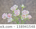 Beautiful fresh roses 138941548