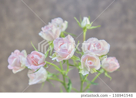 Beautiful fresh roses 138941548