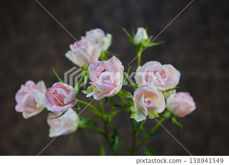Beautiful fresh roses 138941549