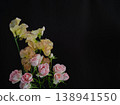 Beautiful fresh roses and sweet peas against a black background. 138941550