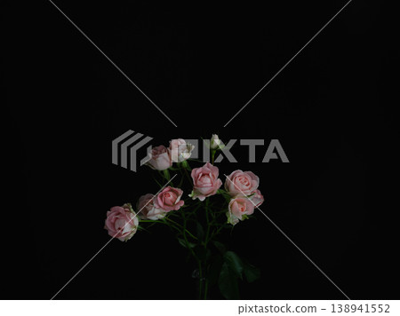 Beautiful fresh roses against a black background 138941552