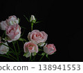 Beautiful fresh roses against a black background 138941553
