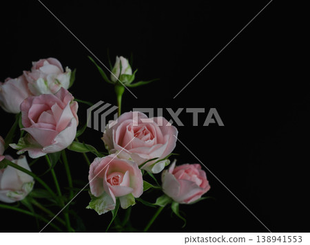 Beautiful fresh roses against a black background 138941553