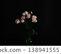 Beautiful fresh roses against a black background 138941555