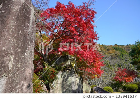 日本庭園「京石園」中高聳巨石與色彩斑斕樹木的秋景 138941637