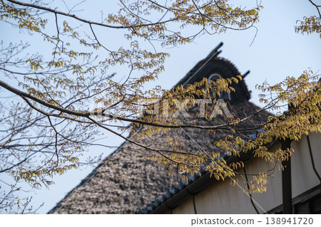 Young leaves and old houses Young leaves and old houses 138941720