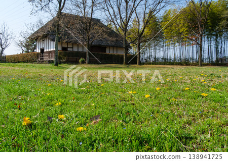 Old house and dandelion Old house and dandelion 138941725