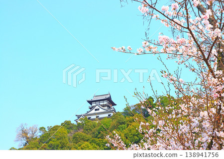 Inuyama Castle and cherry blossoms in Inuyama City, Aichi Prefecture. Inuyama Castle and cherry blossoms in Inuyama City, Aichi Prefecture. 138941756
