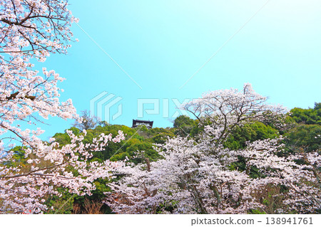 Inuyama Castle and cherry blossoms in Inuyama City, Aichi Prefecture. Inuyama Castle and cherry blossoms in Inuyama City, Aichi Prefecture. 138941761