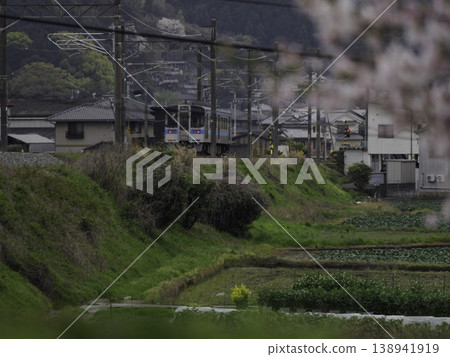 Cherry blossoms along the railway tracks and a train with a blue stripe – a railway scene that evokes the feeling of spring in Japan. 138941919
