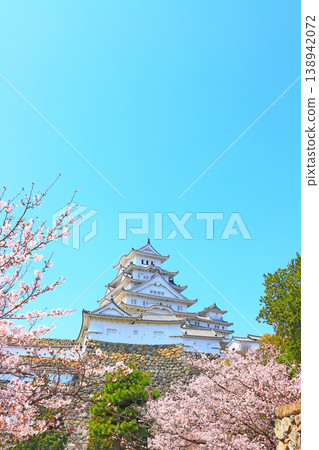 Scenery of cherry blossoms in full bloom and Himeji Castle, Himeji City, Hyogo Prefecture 138942072