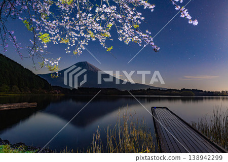 (靜岡郡)狸湖:黎明前湖邊的櫻花和富士山 (靜岡郡)狸湖:黎明前湖邊的櫻花和富士山 138942299
