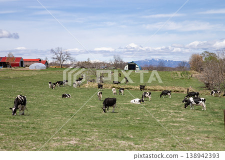 北海道牧場 138942393