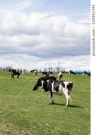 Hokkaido ranch Hokkaido ranch 138942395