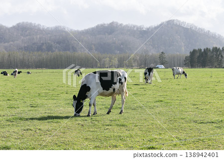 Hokkaido ranch Hokkaido ranch 138942401