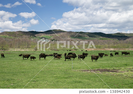 Kurogyu Ranch Kurogyu Ranch 138942430