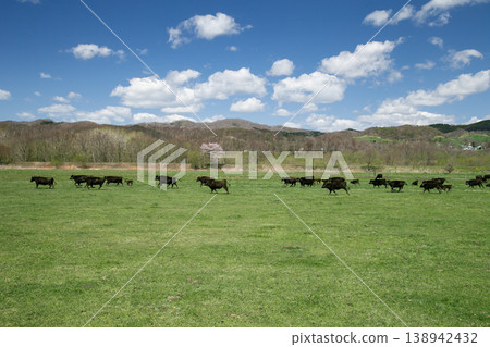 Kurogyu Ranch Kurogyu Ranch 138942432