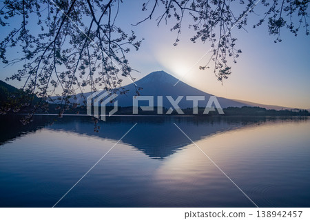 (Shizuoka Prefecture) Lake Tanuki: Cherry blossoms by the lake and Mount Fuji before sunrise 138942457