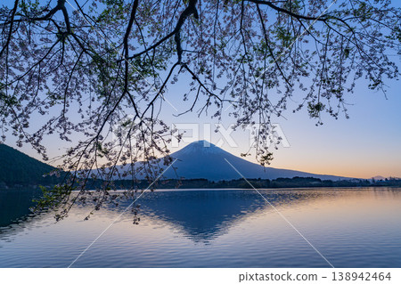 (Shizuoka Prefecture) Lake Tanuki: Cherry blossoms by the lake and Mount Fuji before sunrise 138942464