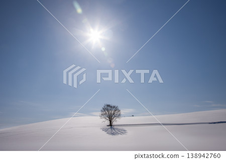 在一個多雪的領域的地球 在一個多雪的領域的地球 138942760